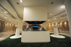 40 inch Holographic Display.